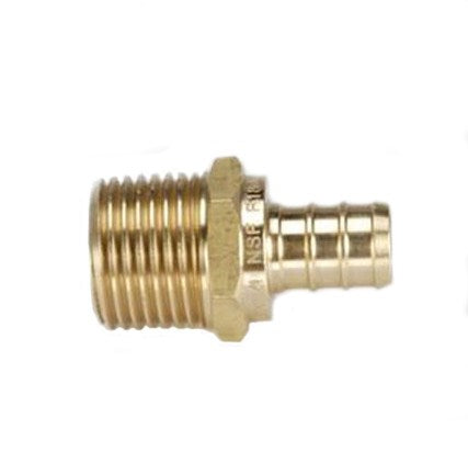 BRASS 1/2" BARB X 1/2" MPT