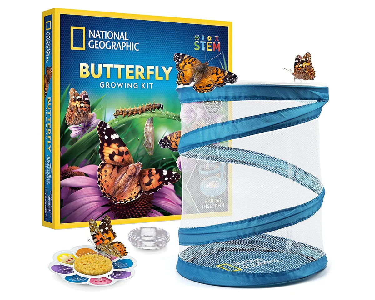 NAT GEO BUTTERFLY GROWING KIT