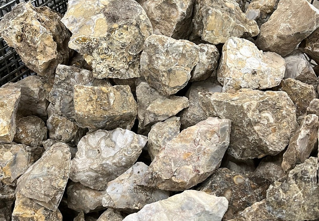 KING COBRA JASPER ROUGH ROCK 1