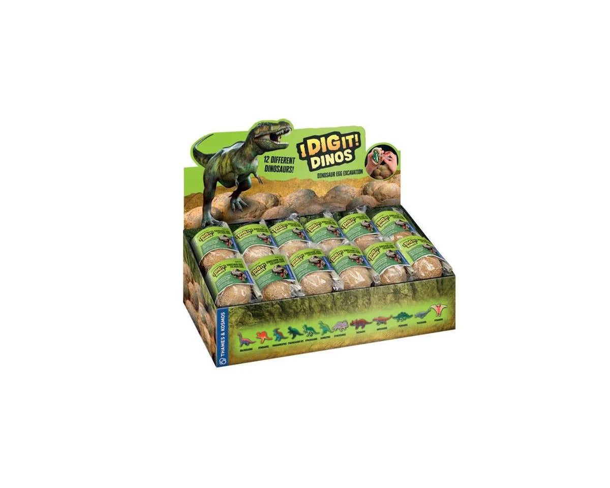I DIG IT DINO EGG