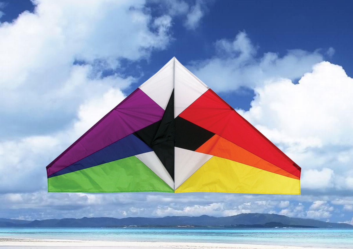 Rainbow Delta Kite, 55"