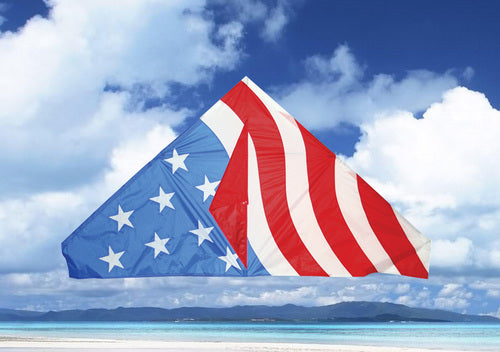 USA Delta Kite, 55"