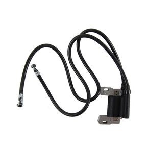590781 ARMATURE