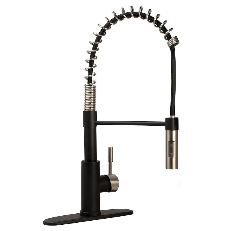 KITCHEN FAUCET 2-TONE COIL