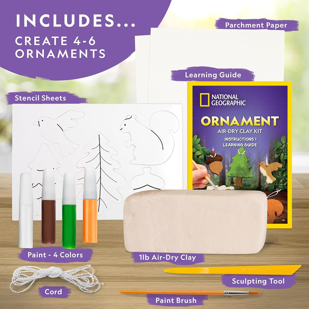 NAT GEO ORNAMENT CLAY KIT