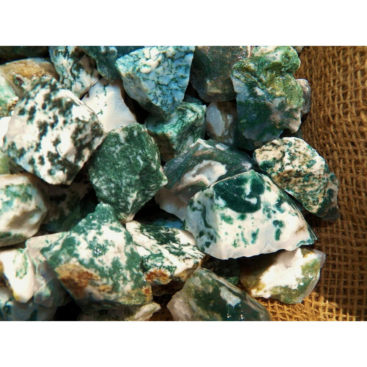 GREEN TREE AGATE ROUGH ROCK 1#